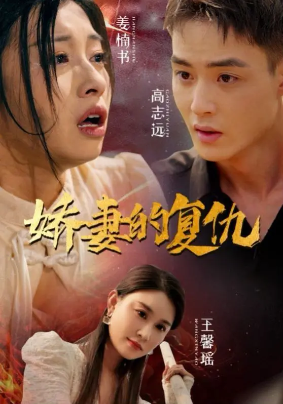 娇妻的复仇 海报